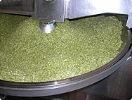 Humulus lupulus - Preparation